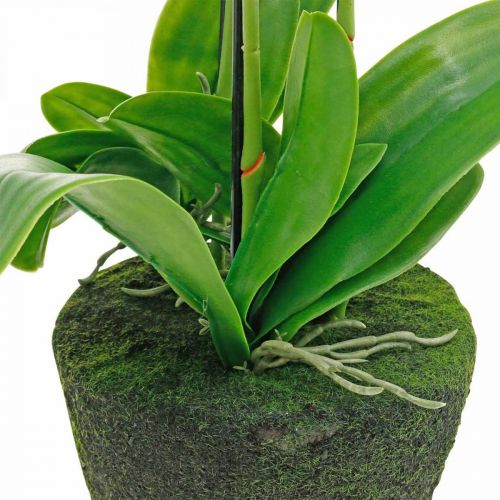 položky Umělá orchidej do květináče bílá 80cm