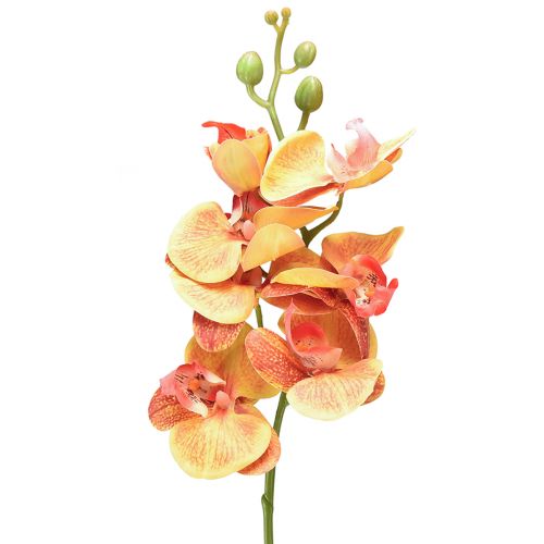 Floristik24 Umělá orchidej Phalaenopsis flambovaná červenožlutá 78cm
