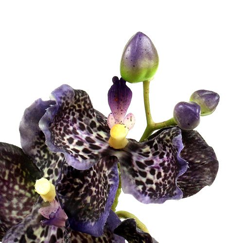 položky Orchidej Vanda umělá fialka L 44cm