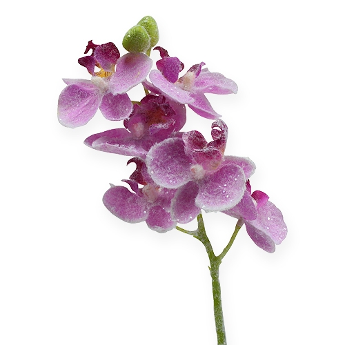 Floristik24 Orchidej se třpytkami, růžová 35cm