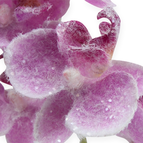 Floristik24 Orchidej se třpytkami, růžová 35cm