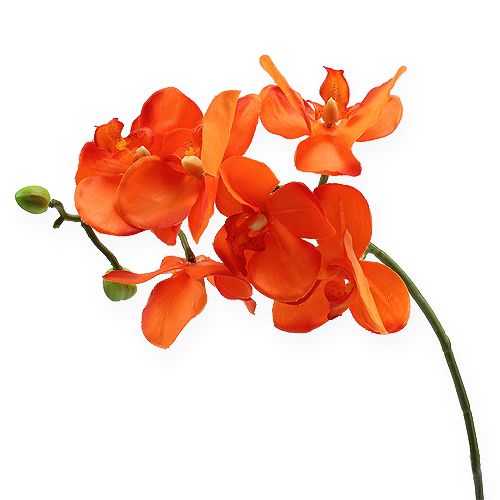 Floristik24 Větev orchideje oranžová 61cm