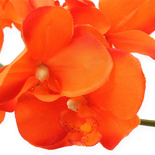 položky Větev orchideje oranžová 61cm