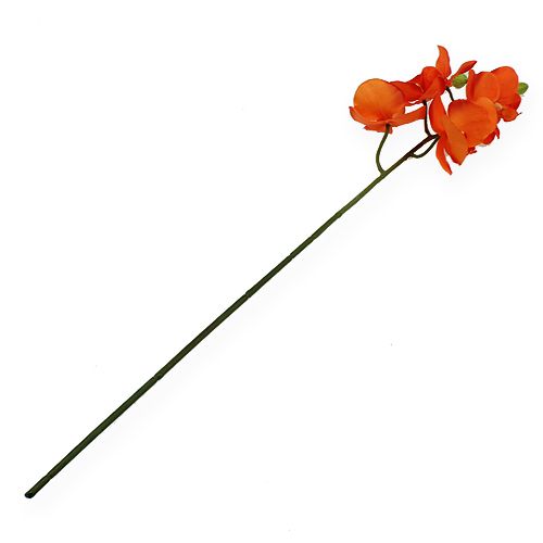 Floristik24 Větev orchideje oranžová 61cm