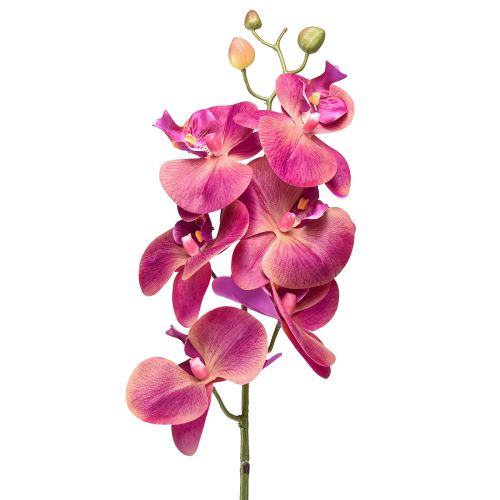 Umělá orchidej Phalaenopsis Orchid Fuchsia 78cm