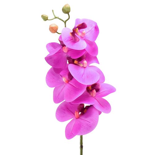 Umělá orchidej Phalaenopsis Orchid Pink 78cm