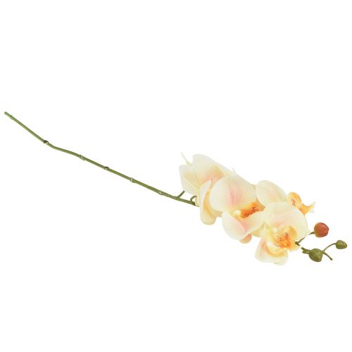 položky Umělá orchidej krémová Orange Phalaenopsis 78cm