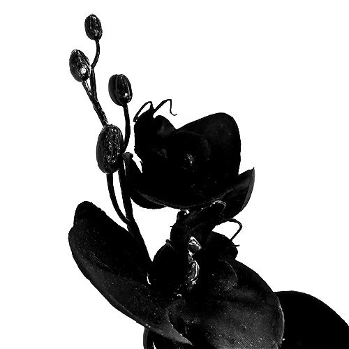 položky Orchidej černá L80cm