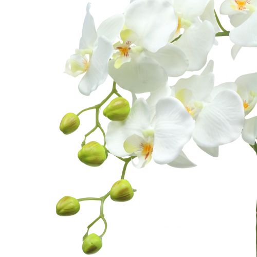 Floristik24 Orchidej bílá na 65cm žárovce