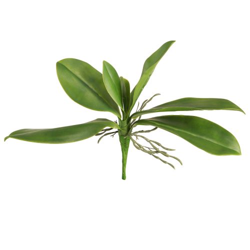 položky Listy orchideje s vzdušnými kořeny umělé 34x8x18cm
