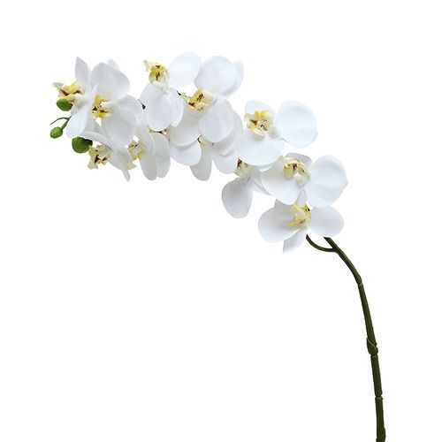 Floristik24 Větev orchideje bílá L58cm