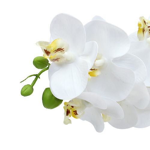 položky Větev orchideje bílá L58cm
