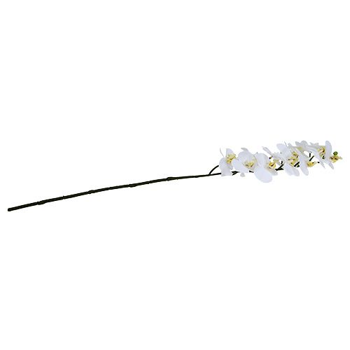 položky Větev orchideje bílá L58cm