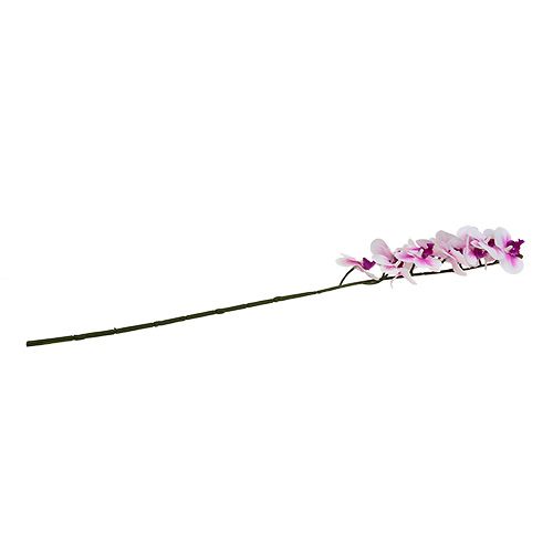 Floristik24 Větev orchideje bílo-růžová L58cm