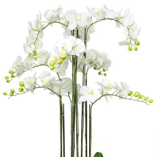 Floristik24 Orchidej bílá na kouli 118cm
