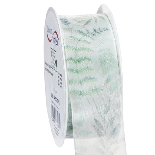 Floristik24 Organzová stuha, šifonová stuha, listnaté větvičky, zelená, 40mm, 15m