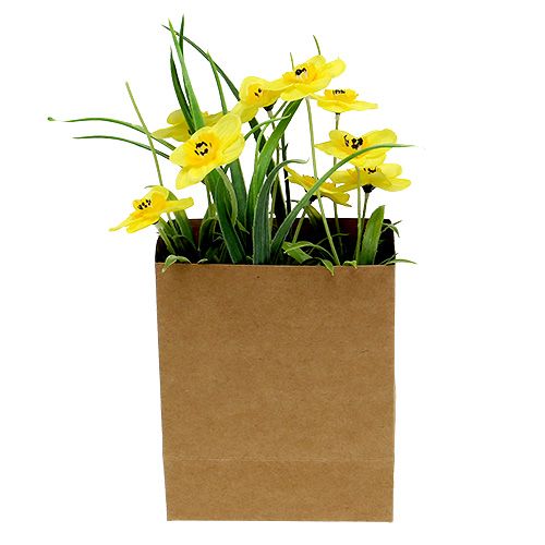Narcis v papírovém sáčku žlutý V21cm