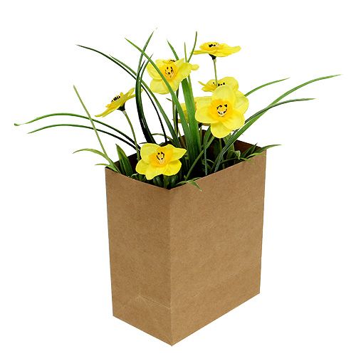 Floristik24 Narcis v papírovém sáčku žlutý V21cm