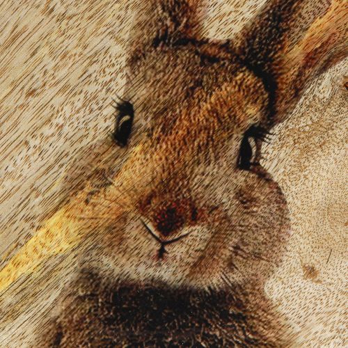 položky Velikonoční talíř Dřevěný dekorační talíř Králík ve vejci přírodní 25x26cm