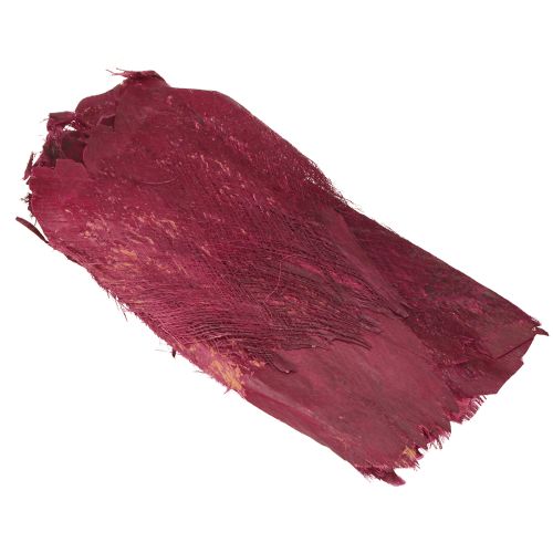 Floristik24 Palmové vlákno přírodní dekorace z přírodního vlákna Bobule 25-50cm 250g