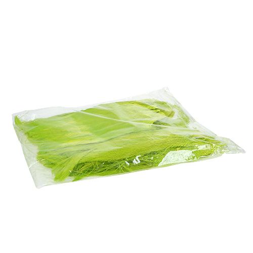 Floristik24 Palmové vlákno pastelově zelené 400gr