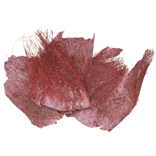 položky Palmové vlákno na tvoření, bordó, bílé prané, 20-40 cm, 250 g