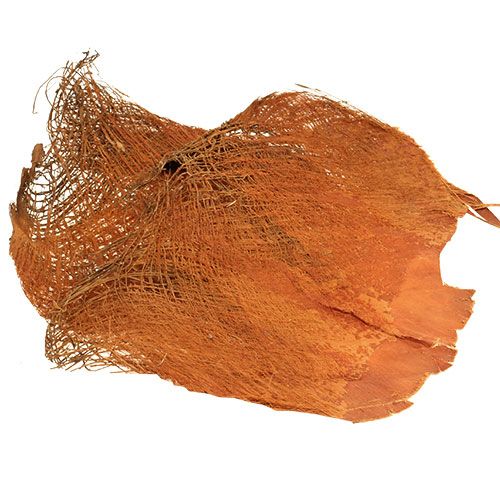 Palmové vlákno přírodní 1kg