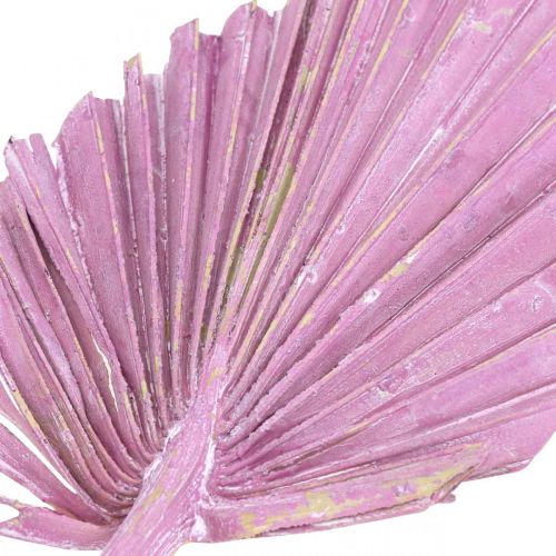 položky Palmspear Mix Pink Berry, White Washed Memorial Floristry 65ks