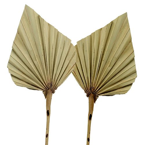 položky Palmspear Natural 100 ks