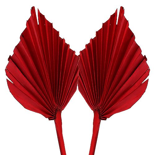 položky Palmspear Red 65ks