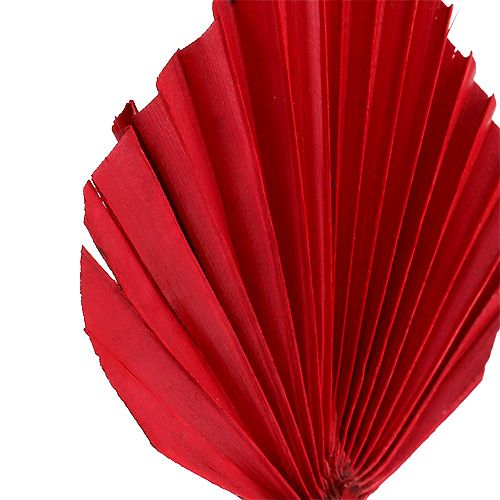 položky Palmspear Red 65 ks