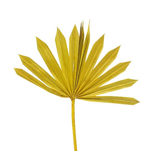 položky Palmspear Sun mini žlutá 50ks