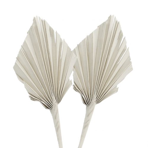 Palmspear Mini White vyprané 100 ks