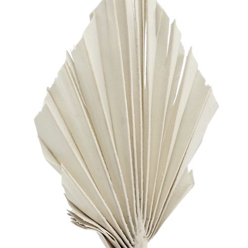 položky Palmspear Mini White vyprané 100 ks