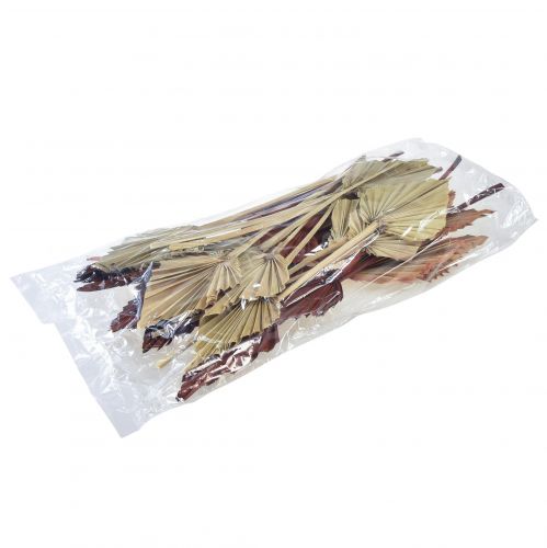 položky Palmspear mini assorted Maroko 30 ks