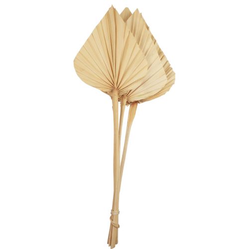 Palmspear Palmové listy přírodní dekorace bělené 12,5×38cm 4ks