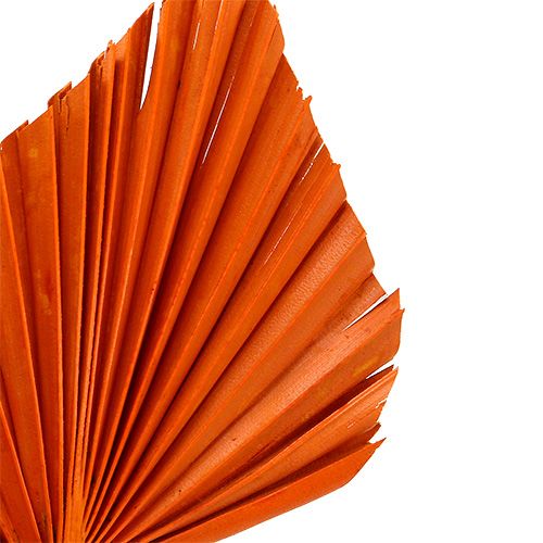 položky Palmspear Orange 65 ks