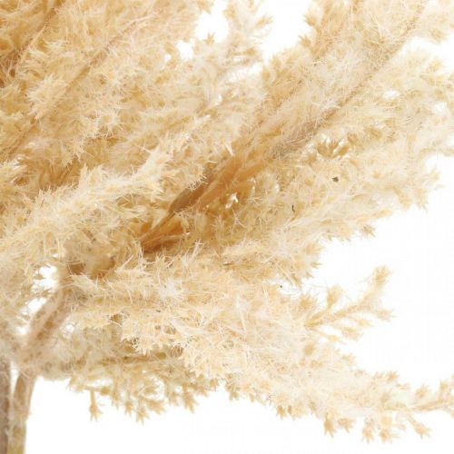 položky Umělá pampová tráva krémová suché květinářství 35cm 4ks
