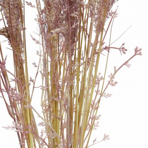 Floristik24 Pampas grass créme, fialka Umělé sušené květiny 3ks