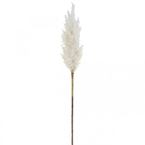 položky Pampas Grass White Umělá Suchá Tráva Umělé rostliny