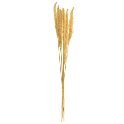 položky Pampas tráva sušená suchá tráva krémová suchá dekorace 70cm 6 ks