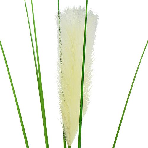 položky Listy trávy pampové krémově zelené V100cm