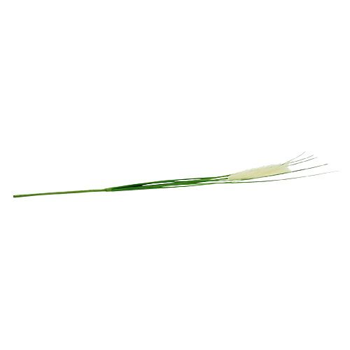Floristik24 Listy trávy pampové krémově zelené V100cm