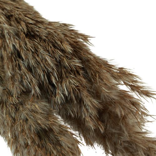položky Pampas tráva sušená dekorativní suchá tráva přírodní 95cm 3 ks