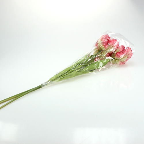 Floristik24 Papoušek tulipán růžový 71cm 3ks