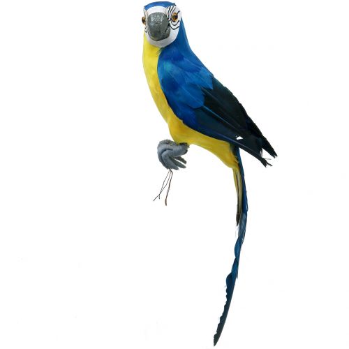 Floristik24 Dekorativní papoušek modrý 44cm