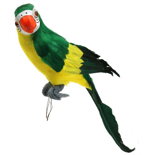 Floristik24 Dekorativní papoušek zelený 44cm