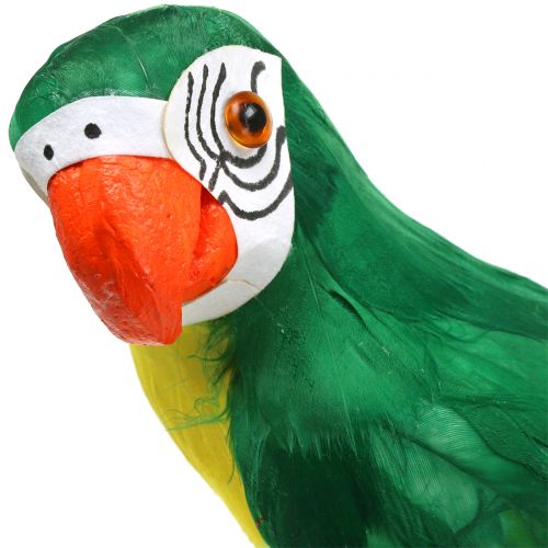Floristik24 Dekorativní papoušek zelený 44cm