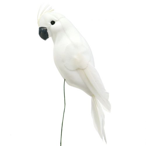 Floristik24 Papoušci s peřím bílý Umělý dekorativní ptáček kakadu 4ks