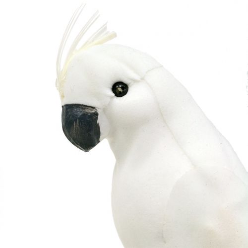 položky Papoušci s peřím bílý Umělý dekorativní ptáček kakadu 4ks